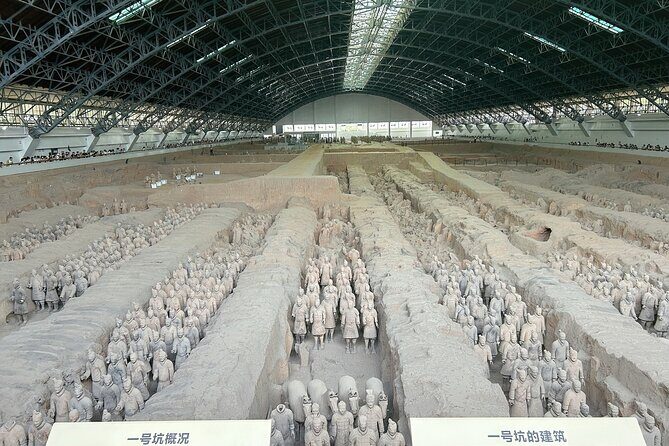 Xi'an: Exclusive Terracotta Army Tour with Local Family Lunch - A Well-Curated Day at Xian’s Most Famous Site