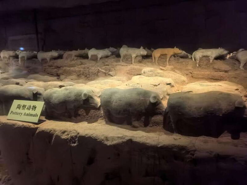 Xi'an: Han Yang Ling Tomb Archaeology Tour with Options - FAQ