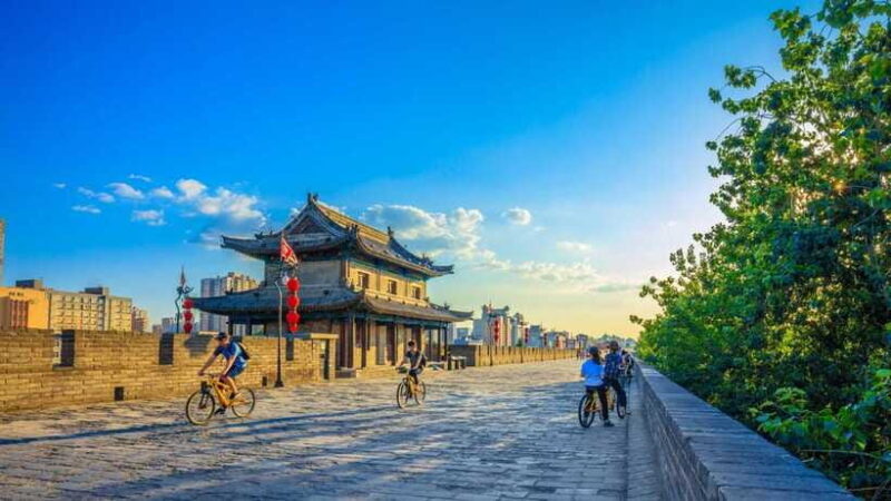 Xi'an: History and Culture Day Tour with Lunch and Dinner - Who Should Consider This Tour?