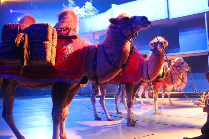 Xi'an Silk Road: Legend of Camel Bell Show Ticket with Transfer - Experience the Magic of Xian’s Silk Road at the Legend of Camel Bell Show