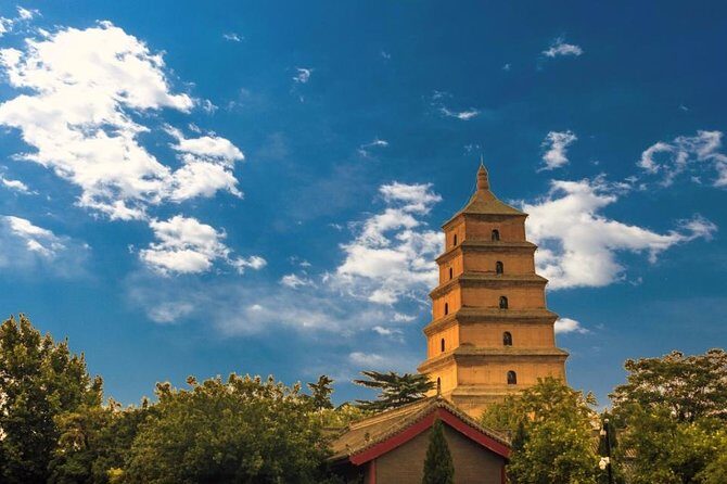 Xian Small Group Day Tour:Terracotta Army, Big Wild Goose Pagoda and City Wall - A Deep Dive into the Xian Small Group Day Tour