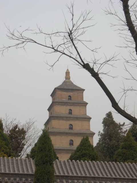 Xi'an: Terra-Cotta Warriors Entry with Optional Guide - Exploring the Xian Terracotta Warriors Tour in Detail