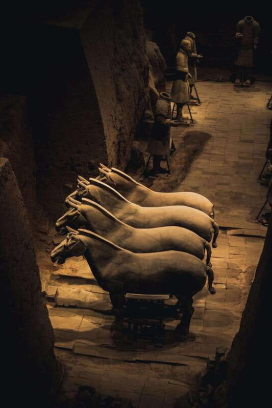 Xian Terra Cotta Warriors Ticket Only - Practical Tips for Your Visit