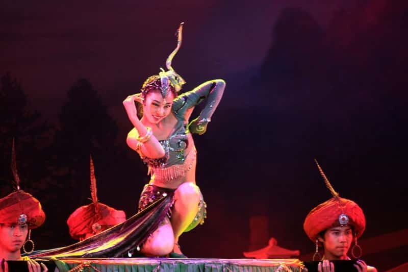 Xi'an Terra Cotta Warriors Tour with Tang Dynasty Show - Practical Tips for Your Visit