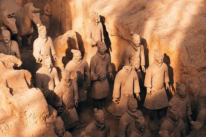 Xian Terracotta Warriors and Horses Highlight Day Tour - An In-Depth Look at the Xian Experience