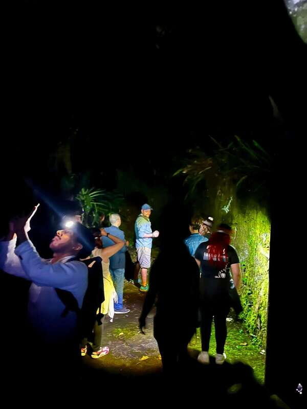 Xilitla - Caminando por un sueño surrealista - Xilitla - Caminando por un sueño surrealista