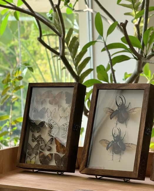 Xishuangbanna: Dai Temple, Tradition, Tie-Dye & Night Market - Final Thoughts