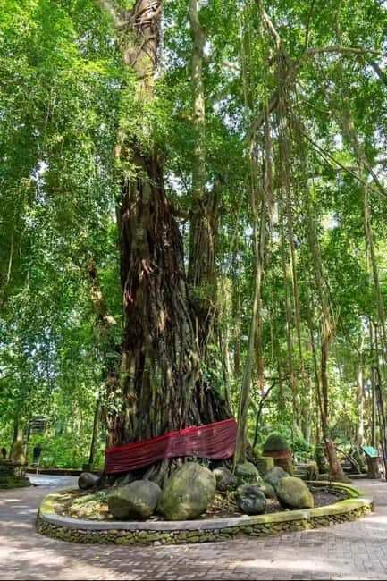 Xishuangbanna: Day Trip to Daluo - Xishuangbanna: Day Trip to Daluo — A Journey into Culture and Nature