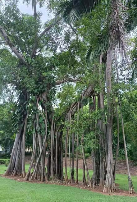 Xishuangbanna: Day Trip to Daluo - Final Thoughts