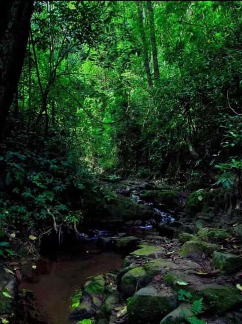 Xishuangbanna: hiking in the rain forest of Jinuo Mountain - The Experience Breakdown