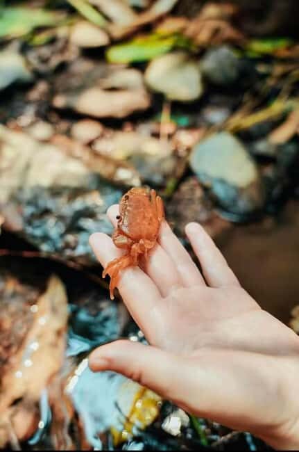 Xishuangbanna: hiking in the rain forest of Jinuo Mountain - FAQ