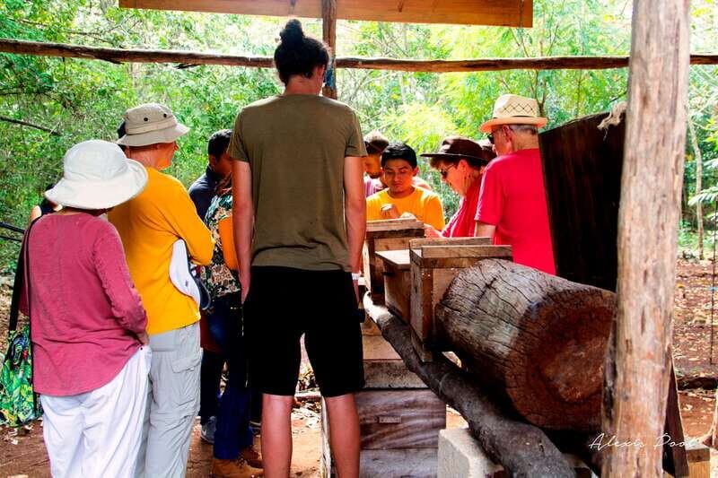 Xkopek, Mayan Bees Tour and Honey Tasting in Valladolid - Frequently Asked Questions