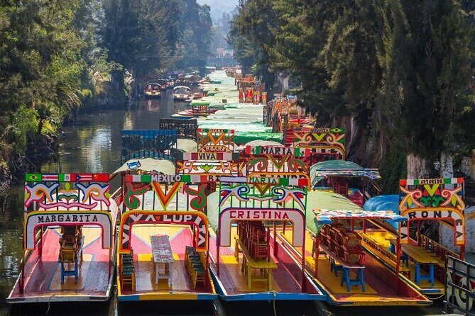 Xochimilco 5 Hour Boat Ride and UNAM University Tour - Exploring Mexico City’s Artistic and Living Traditions
