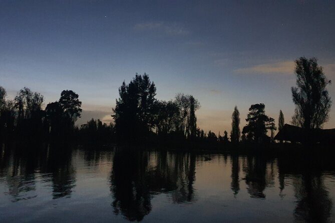 Xochimilco Boat PartyTemptation + 18 with open bar and cleats - Who Will Love This Tour?
