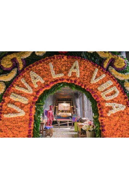 Xochimilco Canals and the Treasures of Coyoacán Tour - The Historic and Cultural Heart: Coyoacán