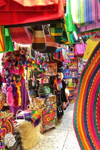 Xochimilco Canals and the Treasures of Coyoacán Tour - The Experience from a Traveler’s Perspective