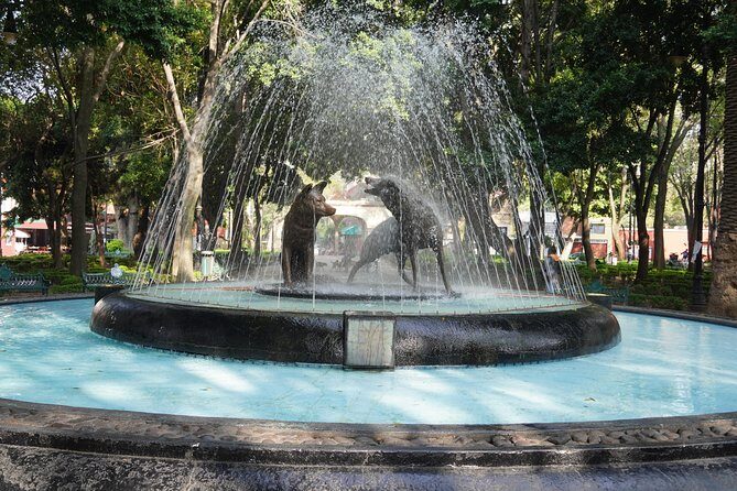 Xochimilco, Coyoacán and Frida Kahlo Museum Private Tour - The Sum Up