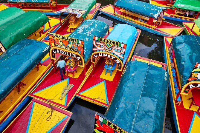 Xochimilco & Coyoacán Private Tour - Transportation and Logistics