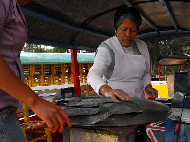 Xochimilco Day Trip: Farmland Food and Hop on a Trajinera - Exploring the Heart of Xochimilco: An In-Depth Review