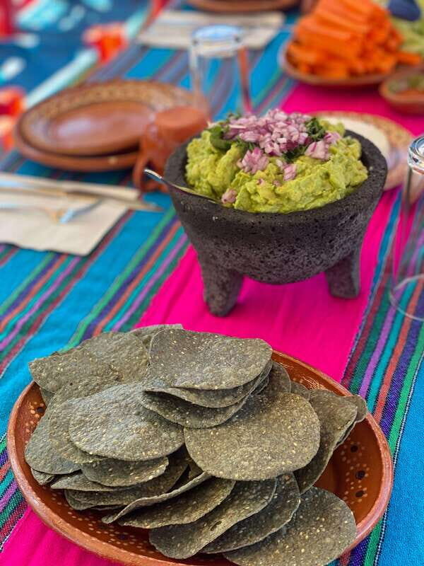 Xochimilco: Eco Tour With Food - What to Expect from Your Xochimilco Eco Tour with Food