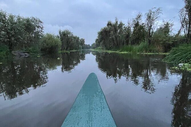 Xochimilco Ecotourism at Dawn in Canoe and Organic Breakfast - Who Would Enjoy This Tour?