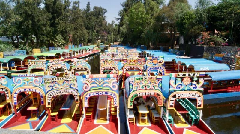 Xochimilco: Mexican Culture and Cuisine Tour - Key Points