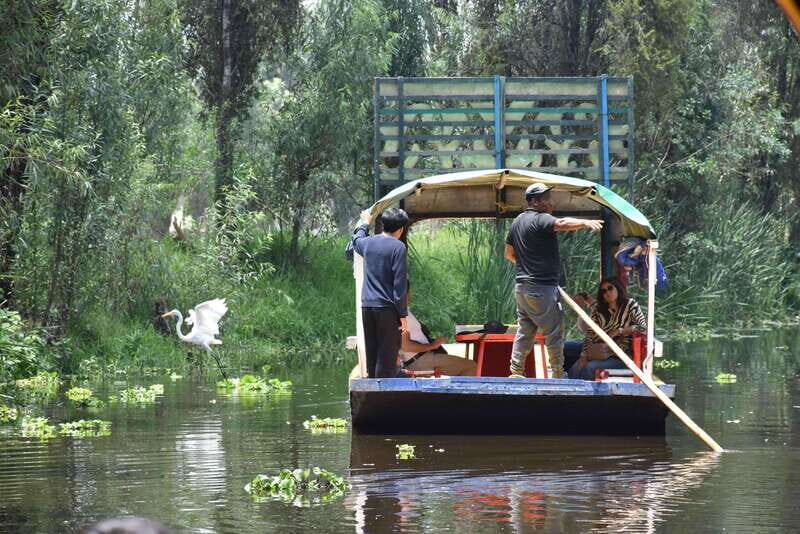 Xochimilco Serene: A Calm Cultural Escape from the Crowds - A Detailed Look at the Xochimilco Serene Tour