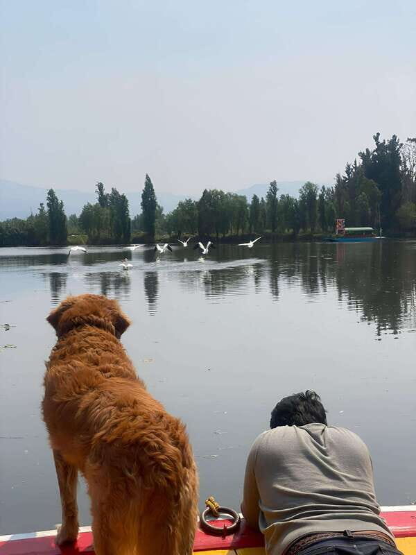 Xochimilco Serene: A Calm Cultural Escape from the Crowds - FAQs