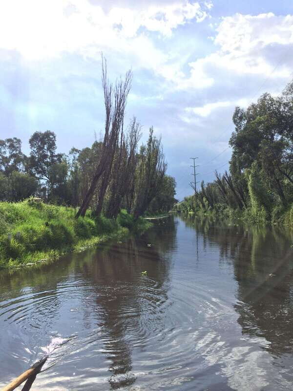 Xochimilco Serene: A Calm Cultural Escape from the Crowds - Final Words