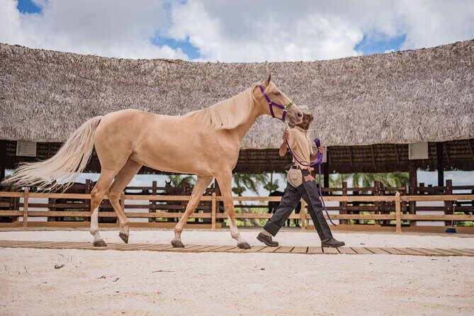 Xploration Animal Encounters Half Day Tour from Punta Cana - Final Thoughts: Is It Worth It?