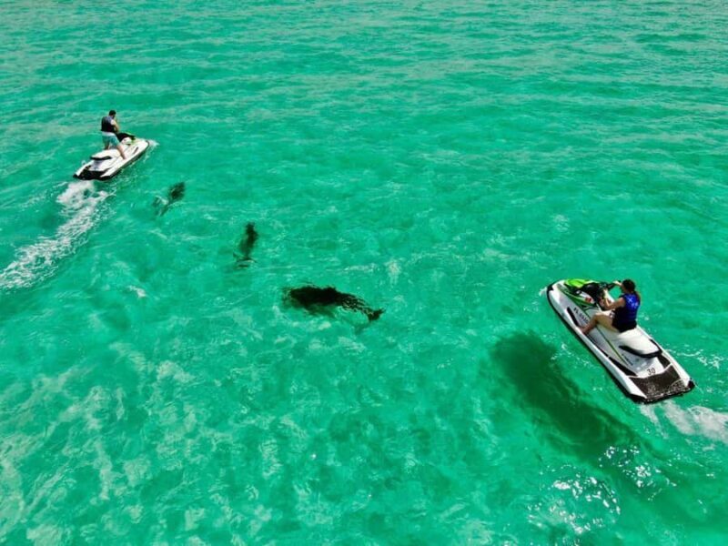 Xtreme H2o Destin: Jet Ski Dolphin Tour - Experience the Thrill of Destin’s Dolphin and Jet Ski Tour