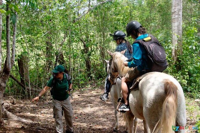 Xunantunich horseback riding tour - Authentic Reviews: What Travelers Say