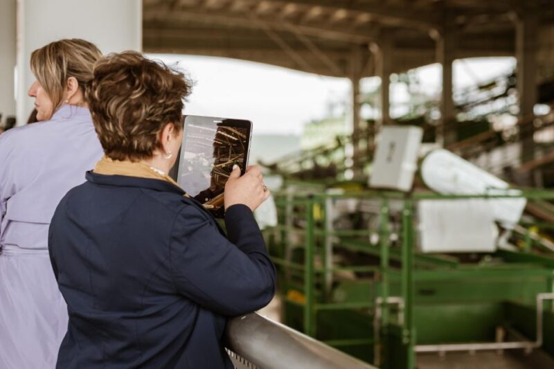 XXI Century Olive Oil Mill Tour - Exploring the XXI Century Olive Oil Mill Tour in Andalusia
