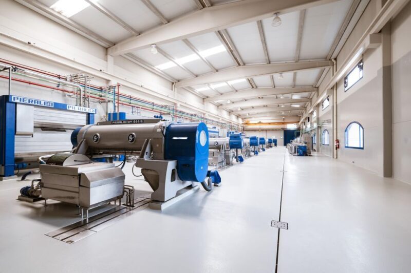 XXI Century Olive Oil Mill Tour - Who Should Consider This Tour?
