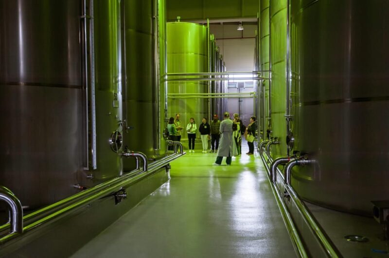 XXI Century Olive Oil Mill Tour - Frequently Asked Questions
