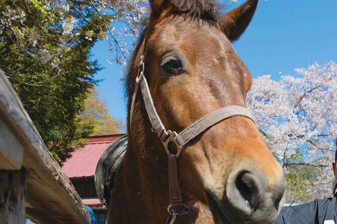 Yabusame Adventure with Mt. Fuji Views - FAQ