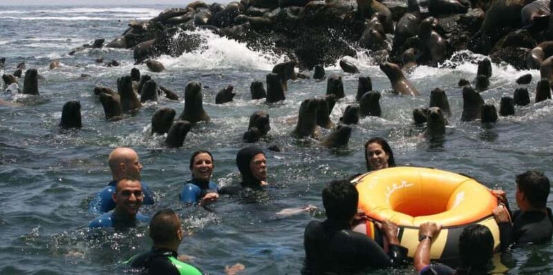 Yacht tour around the Palomino Island - Key Points