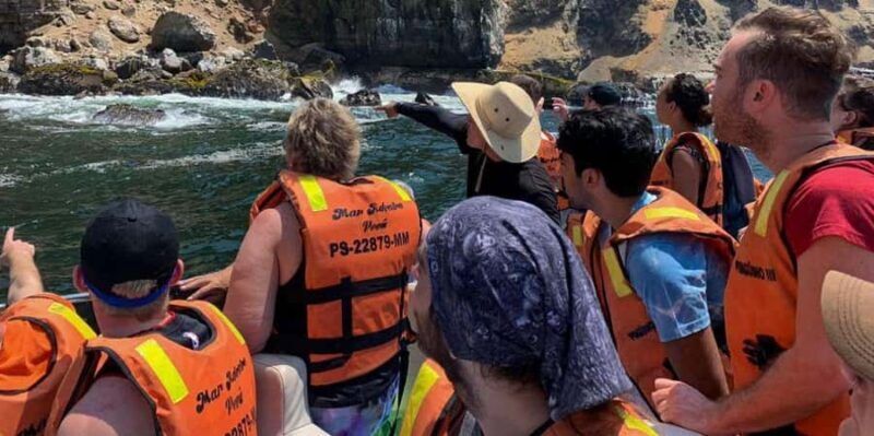 Yacht tour around the Palomino Island - Detailed Review of the Palomino Islands Yacht Tour