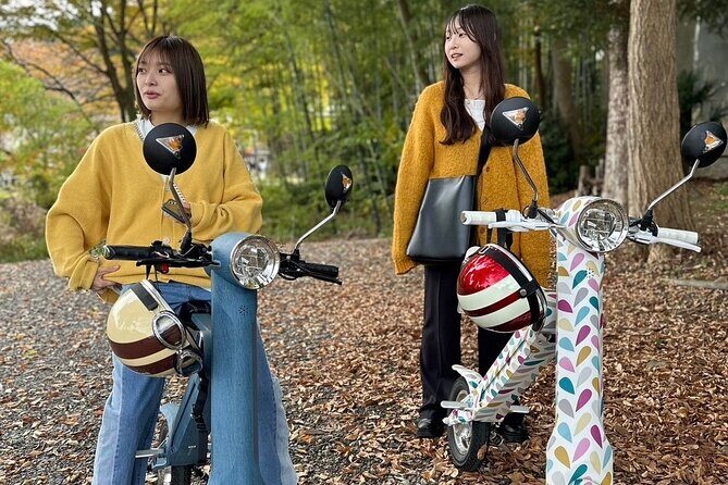 Yahiko Petit E-Motorcycle Tour: Flexible Courses to Enjoy Yahiko - Who Should Try This Tour?