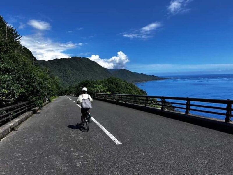 Yakushima: E-Bike Rental Plan (Pick-Up & Drop-Off Included) - Is This Tour Right For You?