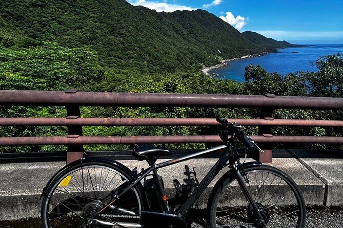 Yakushima Electric Bike Rentals - Final Words: Is It Worth It?