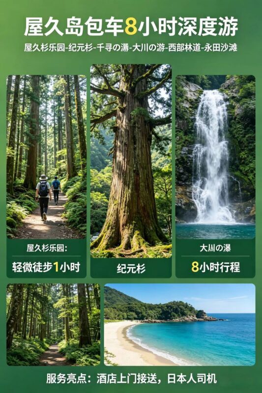 Yakushima Yakusugi Land & Waterfalls Private Tour - Yakusugi Land and waterfalls in one private day