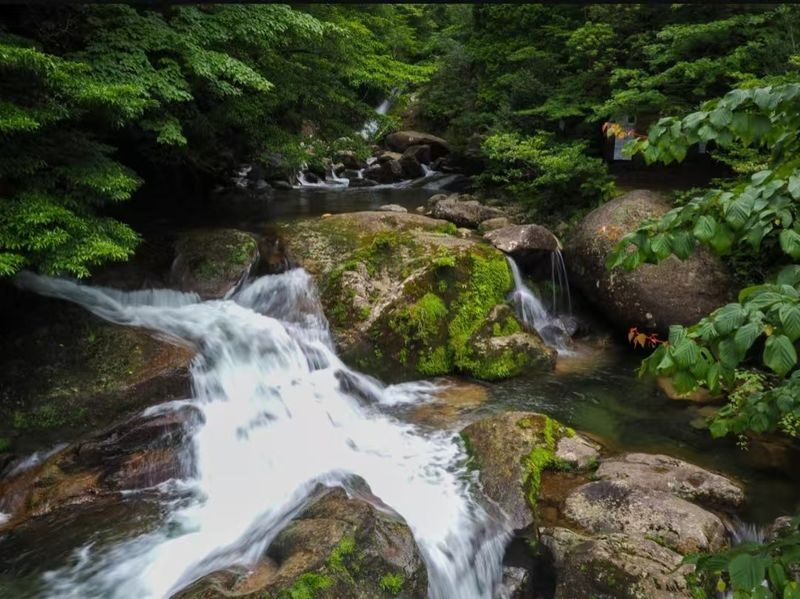 Yakushima Yakusugi Land & Waterfalls Private Tour - Waterfall stops, with the route still to confirm