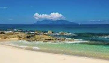Yakushima Yakusugi Land & Waterfalls Private Tour - Who will get the most from this tour