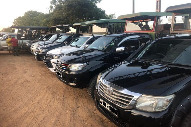 Yala and Udawalawa National Park Safari Tour From Hambantota port - In-Depth Review: What Makes This Safari Stand Out