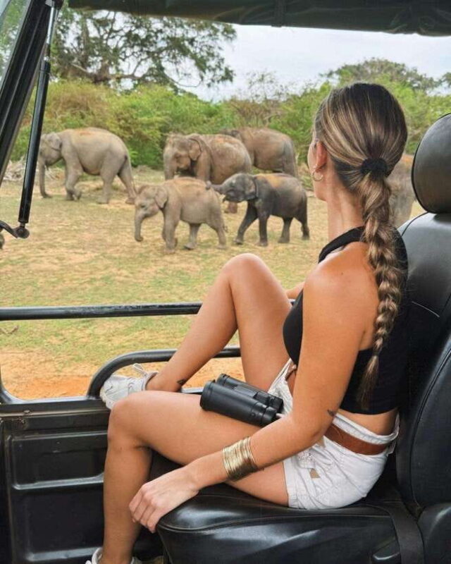 Yala National Park: 7 hours or 12 hours Leopard Wild Safari - Key Points