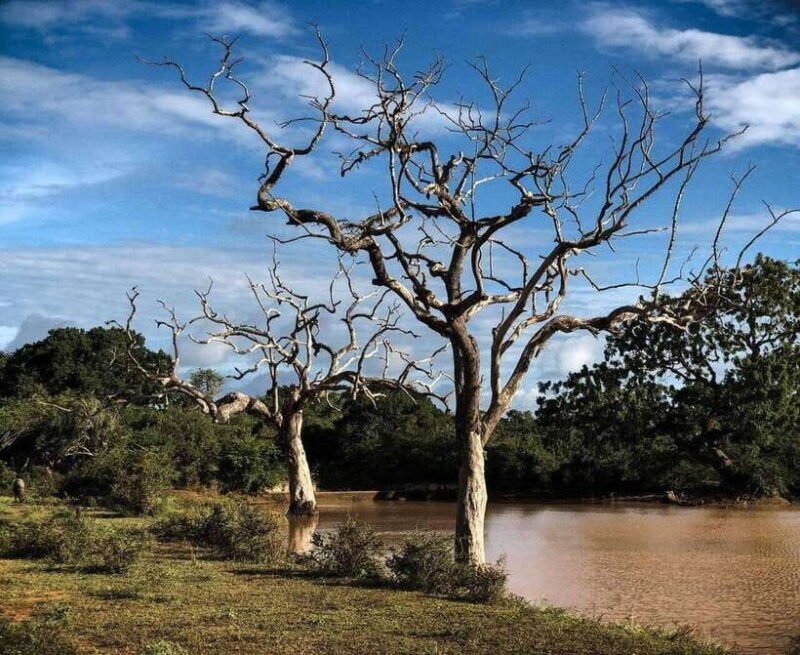 Yala National Park: All Inclusive Private Safari Day Trip - Yala National Park: All Inclusive Private Safari Day Trip