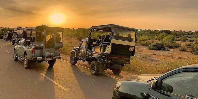 Yala National Park : Full Day Safari (04:30 am - 18:00 pm) - Key Points