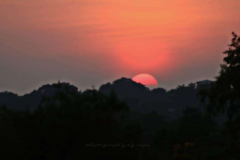 Yala National Park: Full day Safari Tour - The Reality of Your Yala Safari: A Deep Dive