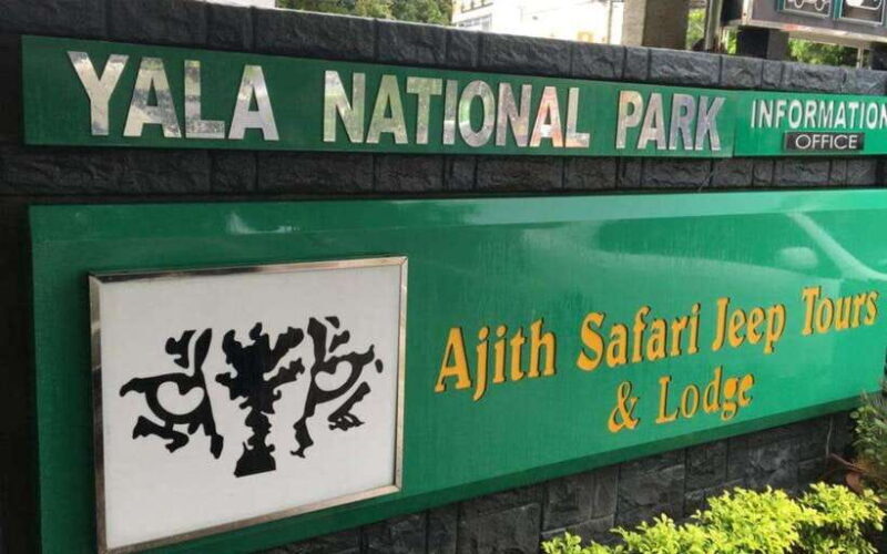 YALA National Park - Full Day Wildlife Safari with Lunch - An In-Depth Look at the Yala Safari Experience